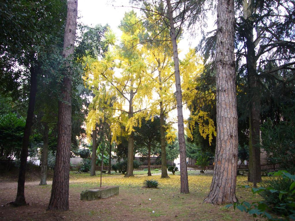 Villa Altieri Albano Laziale Kültér fotó
