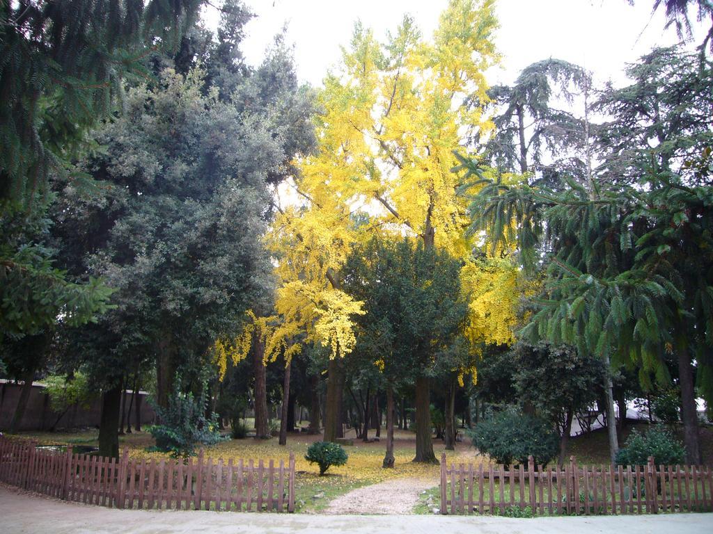 Villa Altieri Albano Laziale Kültér fotó