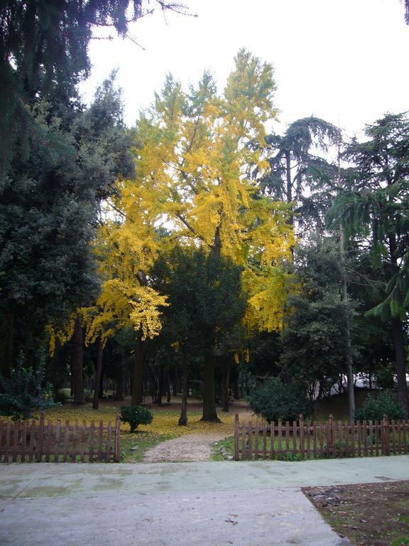 Villa Altieri Albano Laziale Kültér fotó